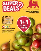 Delhaize folder