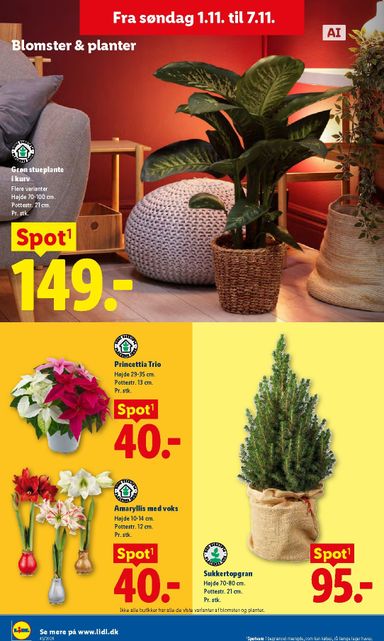 Brochurer Lidl - Lidl gyldig fra 01.11. til 07.11. - side 36