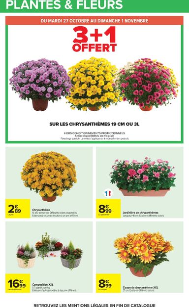 Catalogue Carrefour - Carrefour valable dès le 27/10 au 09/11 - page 31