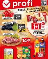 Catalog PROFI