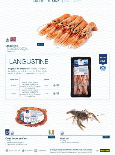 Catalogul Metro - Metro - Spui pește proaspăt de la 01.10. până la 31.12. - pagina 64