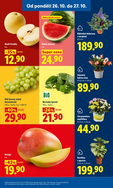 Leták Lidl - Lidl od 26.10. do 27.10. - strana 13