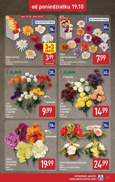 Gazetka ALDI - ALDI - Znicze i stroiki od 19.10. do 24.10. - strona 9