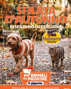 Il Gigante - Sfilata di Autunno