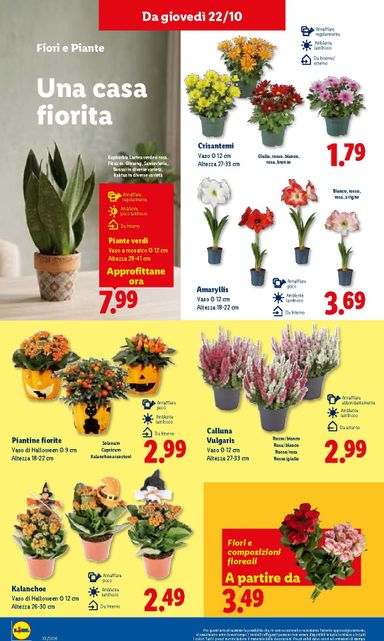 Volantino Lidl - Lidl valido dal 22/10 al 28/10 - pagina 36
