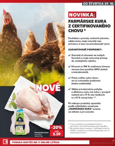 Leták Kaufland - Kaufland od 29.10. do 04.11. - strana 19