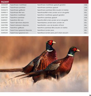 Folder Hanos - HANOS - Wildbrochure van 06-09 tot 31-12 - side 15