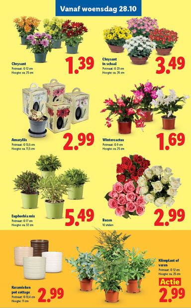 Folder Lidl - Lidl van 26-10 tot 01-11 - side 15