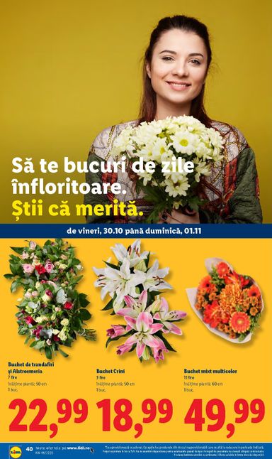 Catalogul Lidl - Lidl de la 26.10. până la 01.11. - pagina 40
