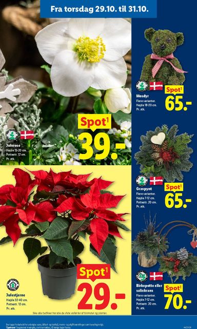 Brochurer Lidl - Lidl gyldig fra 25.10. til 31.10. - side 9