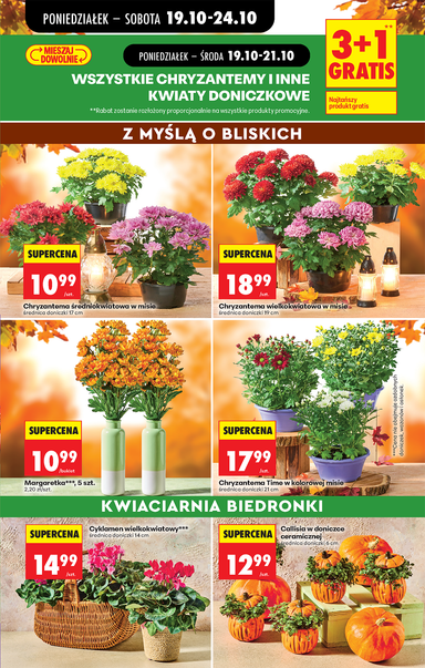 Gazetka Biedronka - Biedronka od 19.10. do 24.10. - strona 27
