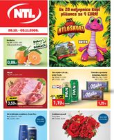 NTL katalog