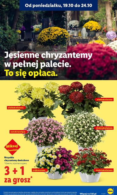 Gazetka Lidl - Lidl od 19.10. do 21.10. - strona 97