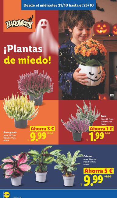 Folleto Lidl - Lidl - Islas Canarias del 19/10 al 25/10 - página 26