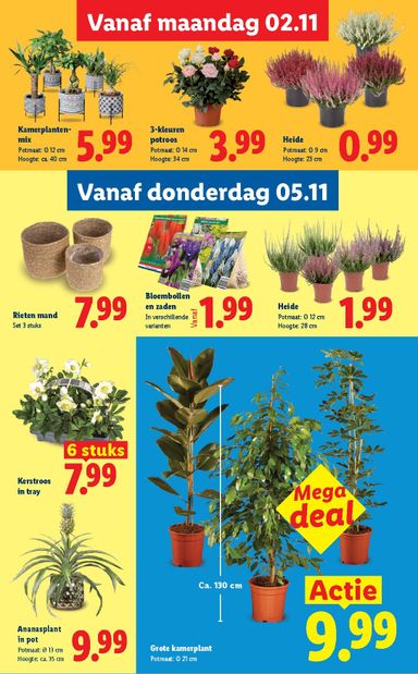 Folder Lidl - Lidl van 02-11 tot 08-11 - side 33