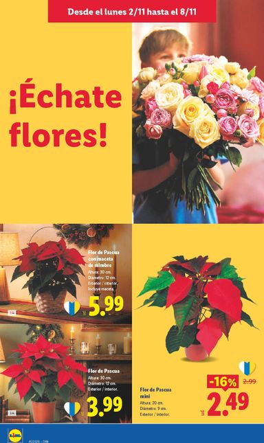 Folleto Lidl - Lidl - Islas Canarias del 02/11 al 08/11 - página 22