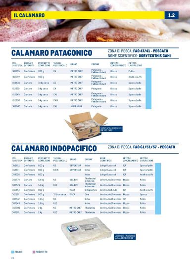 Volantino METRO - Metro - Catalogo Surgelati valido dal 01/01 al 31/12 - pagina 22