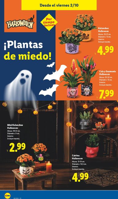 Folleto Lidl - Lidl - Folleto Especial del 02/10 al 31/10 - página 14