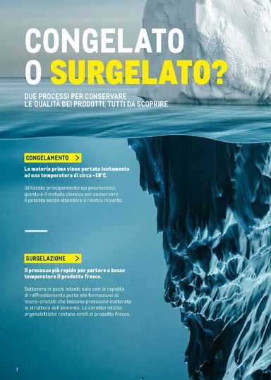 Volantino METRO - Metro - Catalogo Surgelati valido dal 01/01 al 31/12 - pagina 2