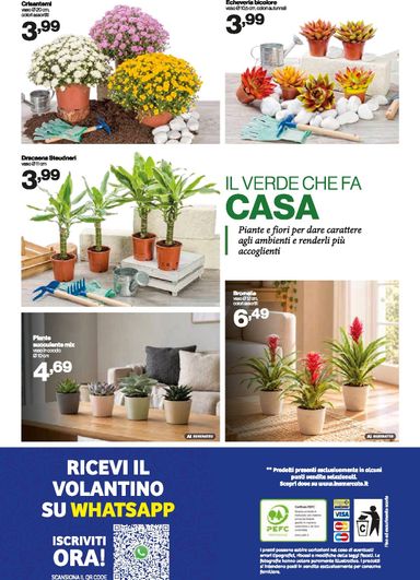 Volantino In's - In's valido dal 21/10 al 01/11 - pagina 13