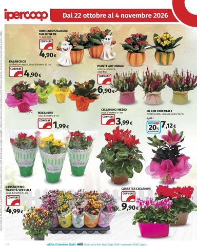 Volantino Ipercoop - Ipercoop valido dal 22/10 al 04/11 - pagina 28