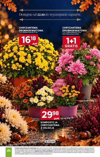 Gazetka Stokrotka - Stokrotka - Znicze od 29.10. do 04.11. - strona 16