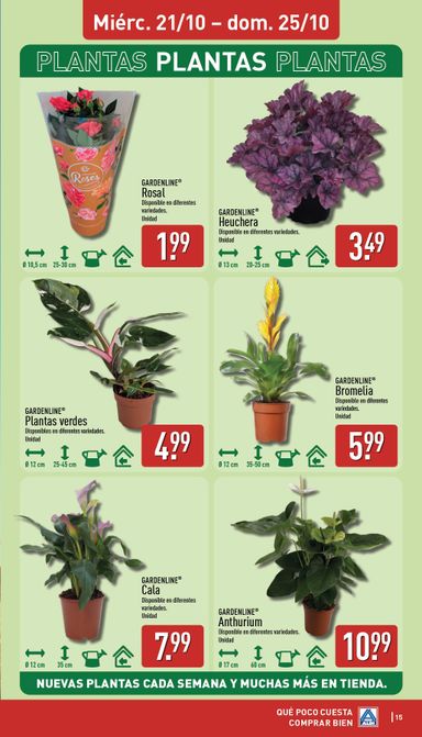 Folleto ALDI - ALDI del 19/10 al 25/10 - página 15