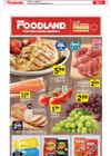 Foodland