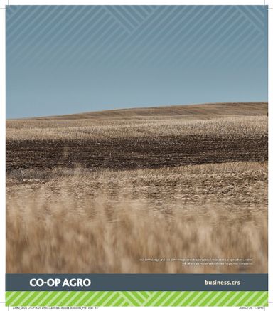 Flyer Co-op - Coop - Seed & Inoculant Guide valid since 08-20 until 08-01 - page 12