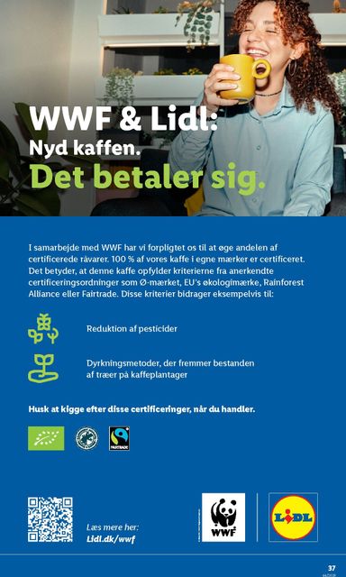 Brochurer Lidl - Lidl gyldig fra 25.10. til 31.10. - side 37