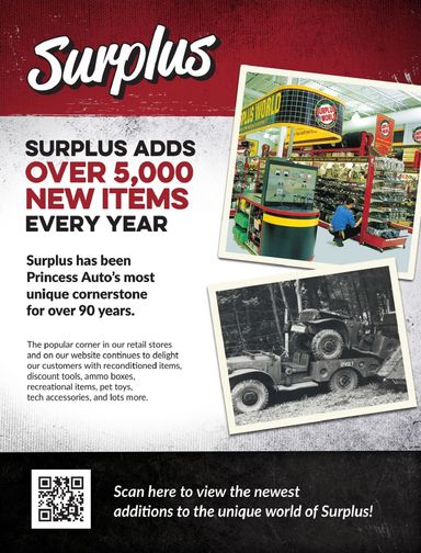 Flyer Princess Auto - Princess Auto - Surplus valid since 04-21 until 12-31 - page 3
