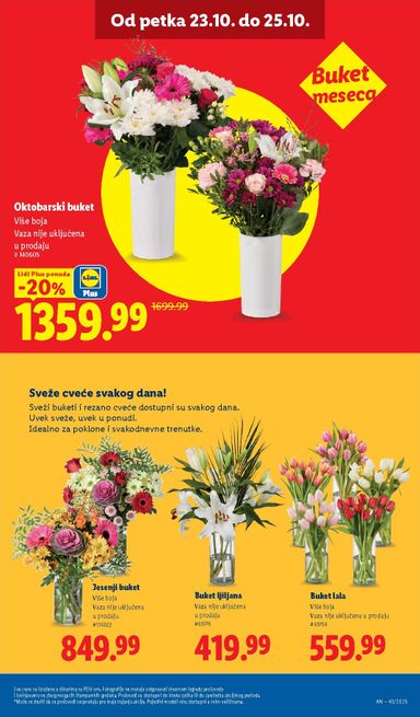 Katalog Lidl - Lidl od 22.10 do 28.10 - strana 73