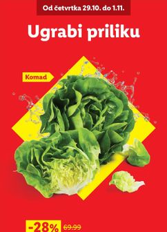 Lidl katalog iz četvrtka 29.10
