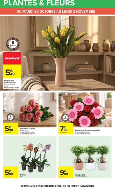Catalogue Carrefour - Carrefour - Halloween valable dès le 20/10 au 02/11 - page 70