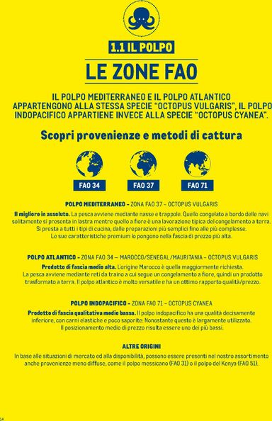 Volantino METRO - Metro - Catalogo Surgelati valido dal 01/01 al 31/12 - pagina 14