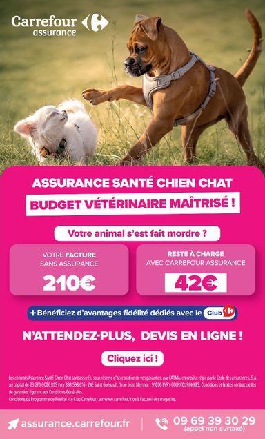 Catalogue Carrefour - Carrefour valable dès le 06/10 au 19/10 - page 75