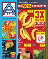 ALDI folder