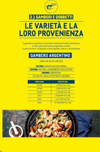 Volantino METRO - Metro - Catalogo Surgelati valido dal 01/01 al 31/12 - pagina 30