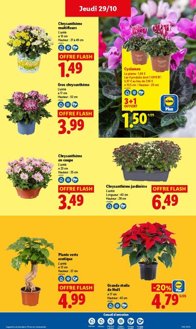 Catalogue Lidl - Lidl valable dès le 29/10 au 04/11 - page 33
