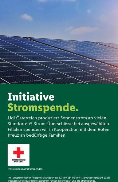 Lidl-Flugblatt - Lidl gültig ab 29.10. bis 04.11. - seite 48