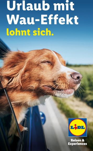 Prospekt Lidl - Lidl - Urlaub mit Hund gültig ab 29.07. bis 31.12. - seite 1