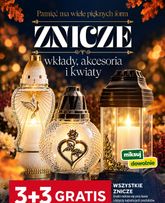 Stokrotka - Znicze obowiązuje od czwartku 29.10.2026
