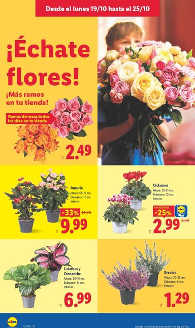 Folleto Lidl - Lidl del 19/10 al 25/10 - página 56