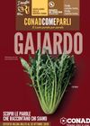 Conad City - Gajardo