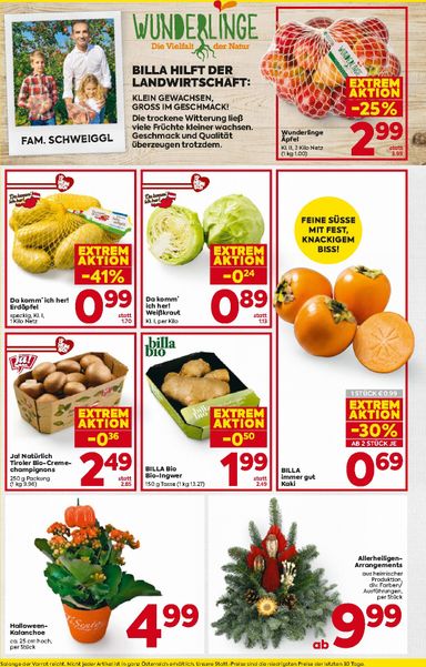BILLA-Flugblatt - Billa gültig ab 22.10. bis 28.10. - seite 6