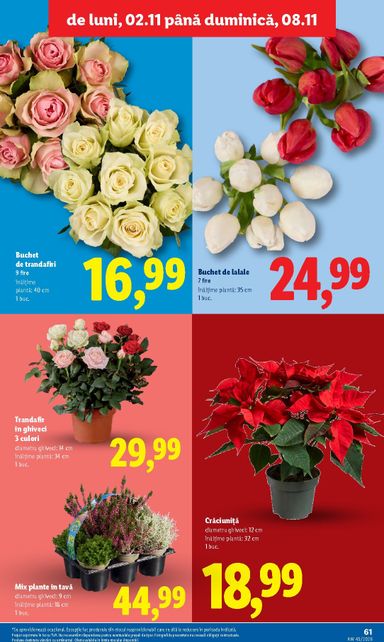Catalogul Lidl - Lidl - Black deals de la 02.11. până la 08.11. - pagina 61
