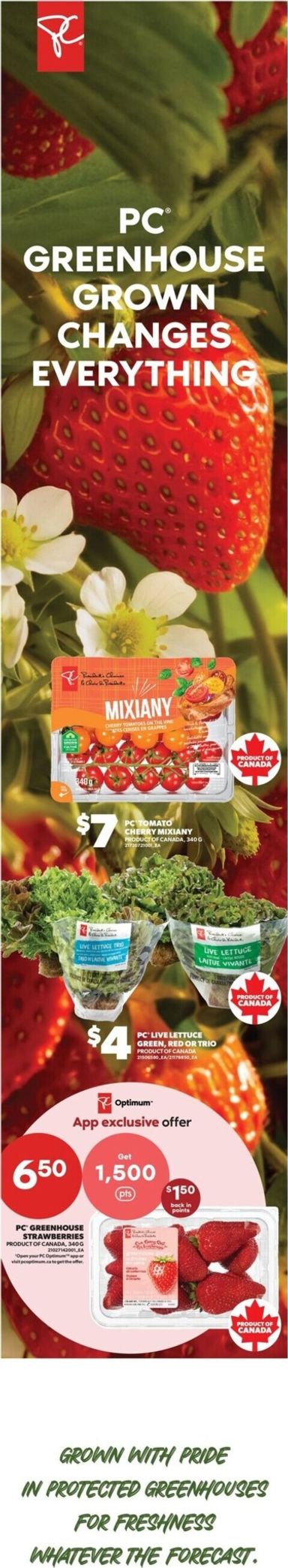 Flyer Real Canadian Superstore - Real Canadian Superstore valid since 10-29 until 11-04 - page 5