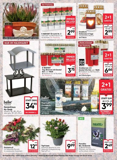 Maximarkt-Flugblatt - Maximarkt gültig ab 29.10. bis 04.11. - seite 16