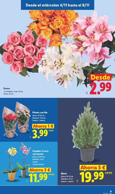 Folleto Lidl - Lidl - Islas Canarias del 02/11 al 08/11 - página 23