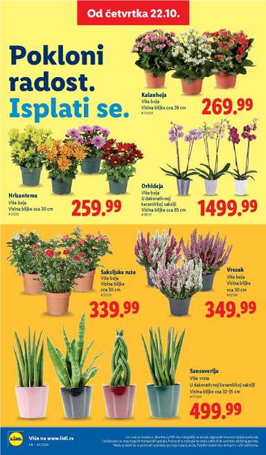 Katalog Lidl - Lidl od 22.10 do 28.10 - strana 70